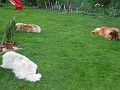20110425_Paste 050